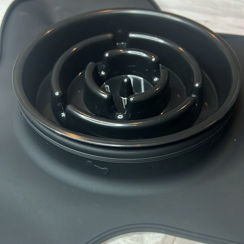Slow Feeder & Water Bowl for Medium Dogs